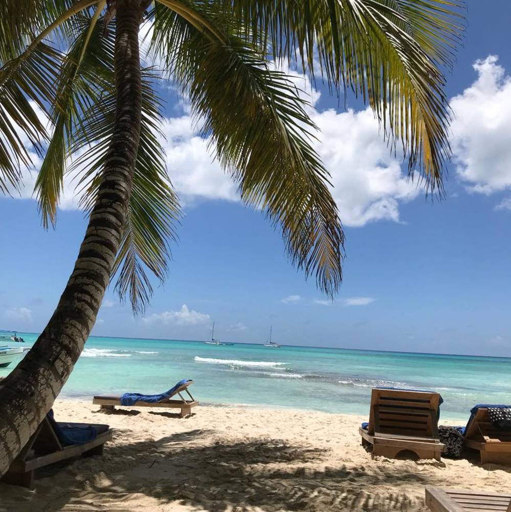 Meet your Posher, Rhonda